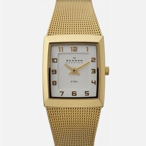 Skagen Gold-Tone Mesh Strap Watch